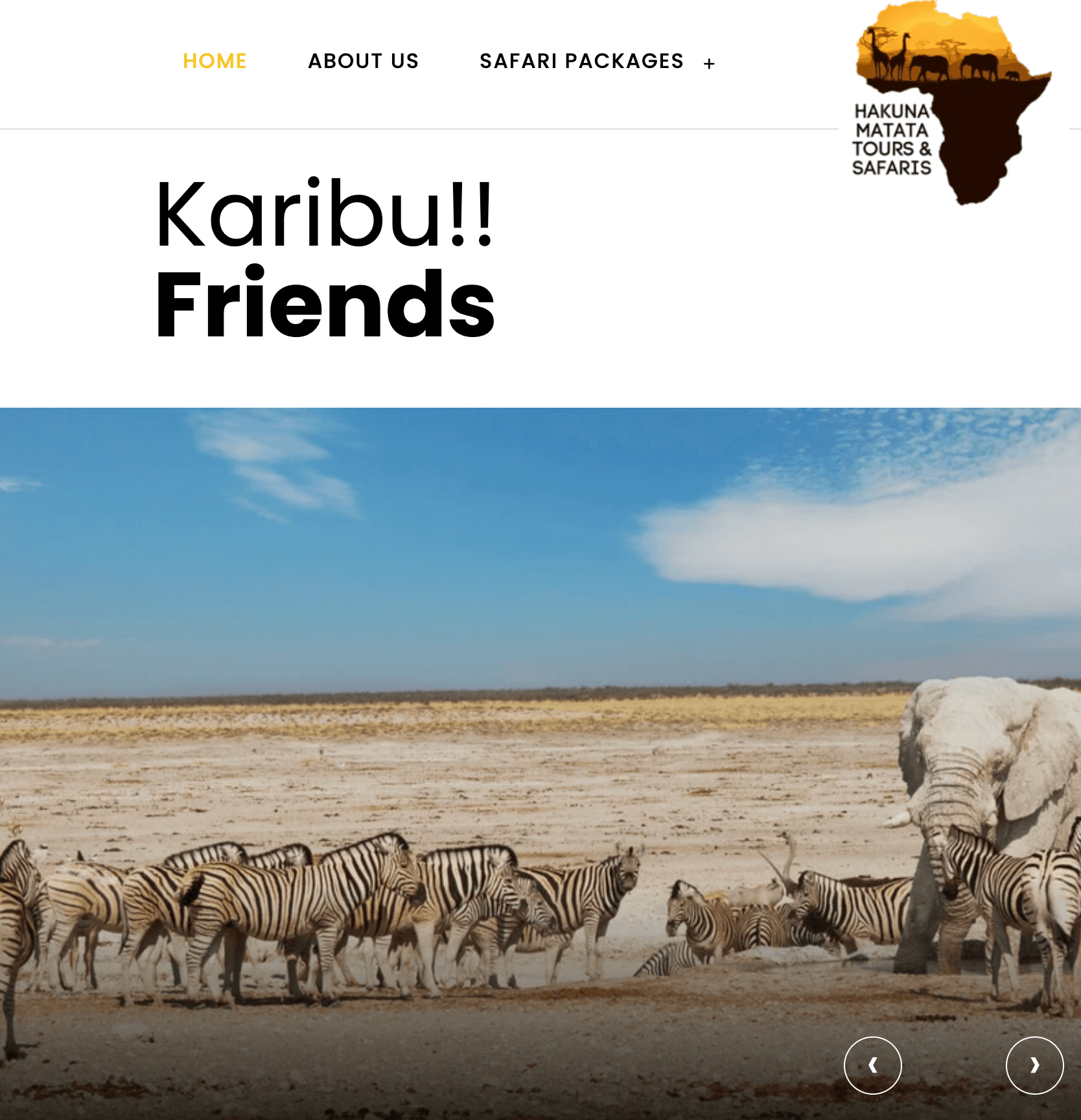 Hakuna Matata Tours